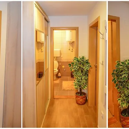 Apartment Josipovic Zlatibor