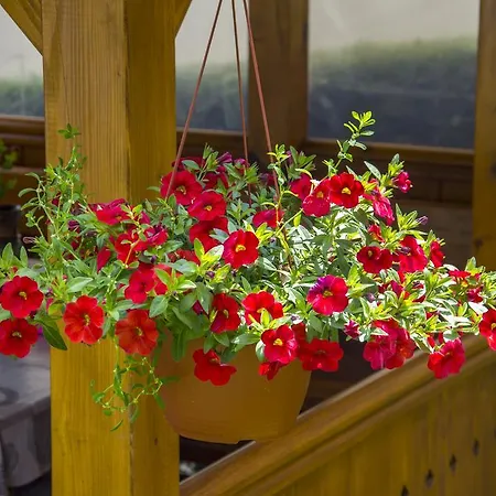 Josipovic Apartamento *