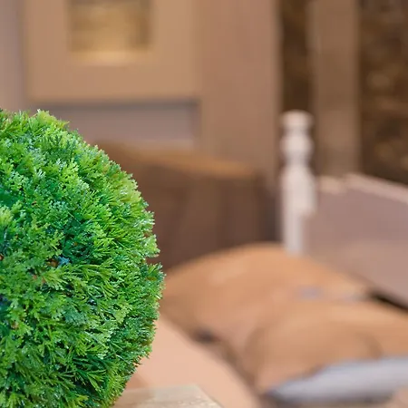 Josipovic * Zlatibor