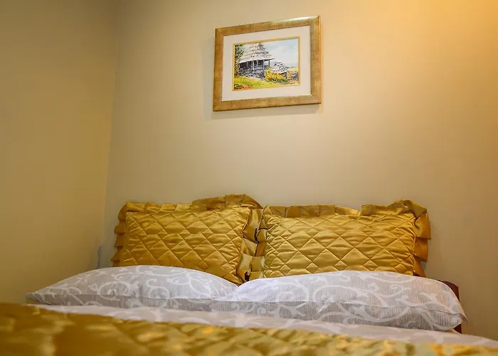 约西波维奇公寓 * 兹拉蒂博尔