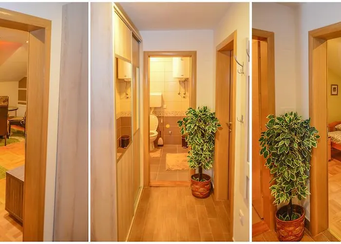 公寓 约西波维奇公寓 兹拉蒂博尔