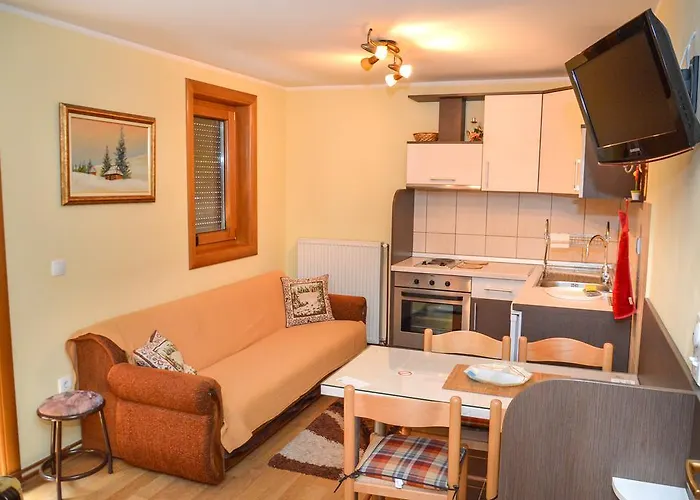 约西波维奇公寓