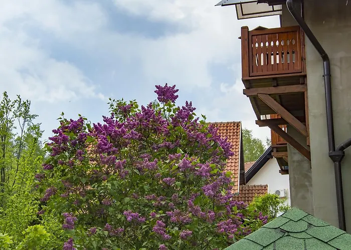 约西波维奇公寓