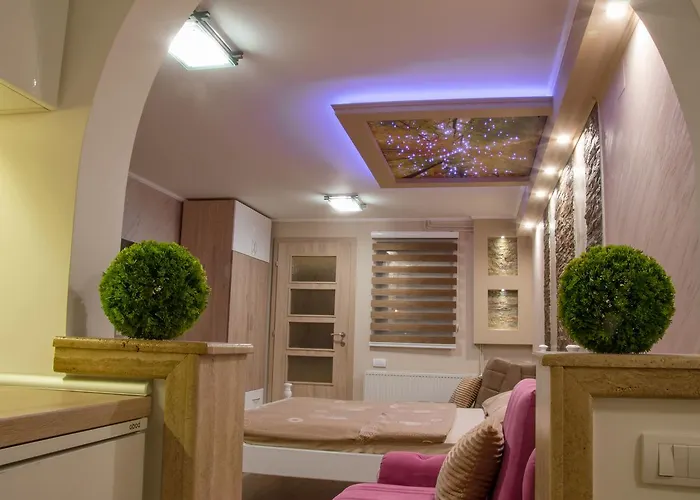 公寓 约西波维奇公寓 *