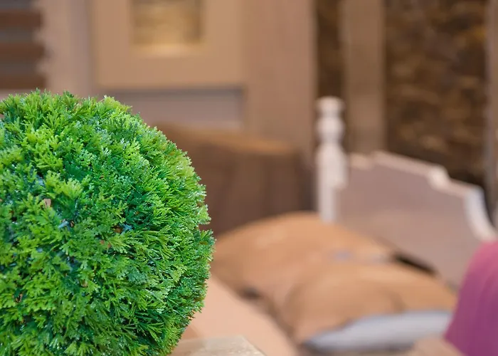 Josipovic * Zlatibor