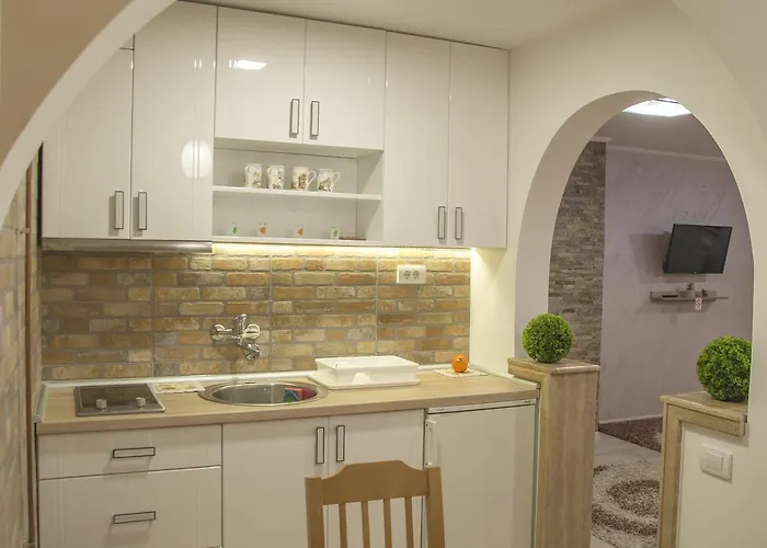 公寓 约西波维奇公寓 *